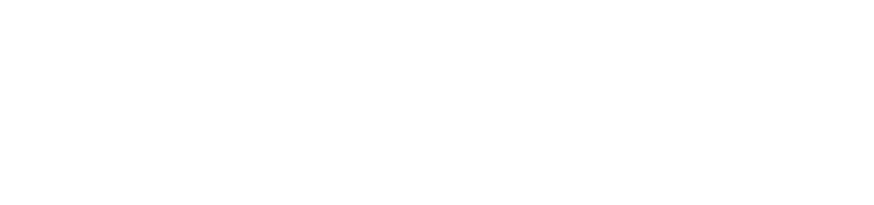 MGE: Management Experts Inc